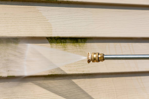 Best Roof Power Washing Services  in Quinnesec, MI